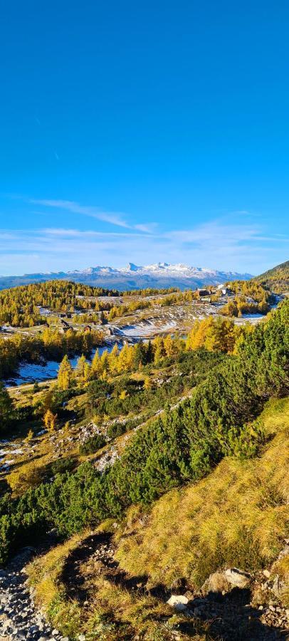 Ferienwohnungen Bergpanorama Бад-Миттерндорф Экстерьер фото