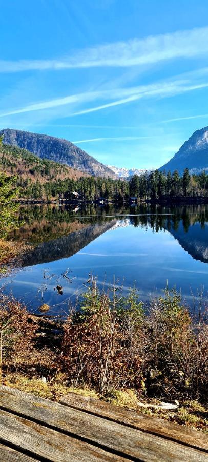 Ferienwohnungen Bergpanorama Бад-Миттерндорф Экстерьер фото